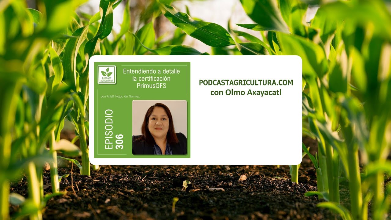 306 Entendiendo a detalle la certificación PrimusGFS con Arlett Rojop