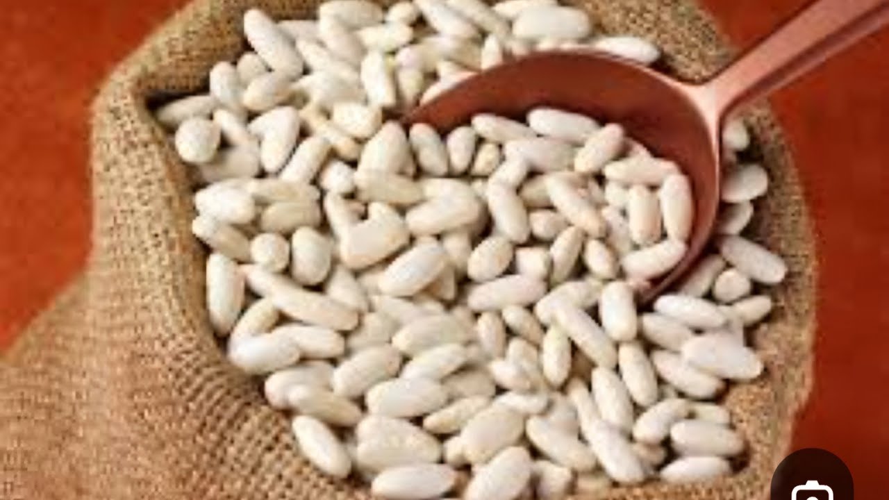 فوائد تبن الفاصوليا للاغنام و المواشي