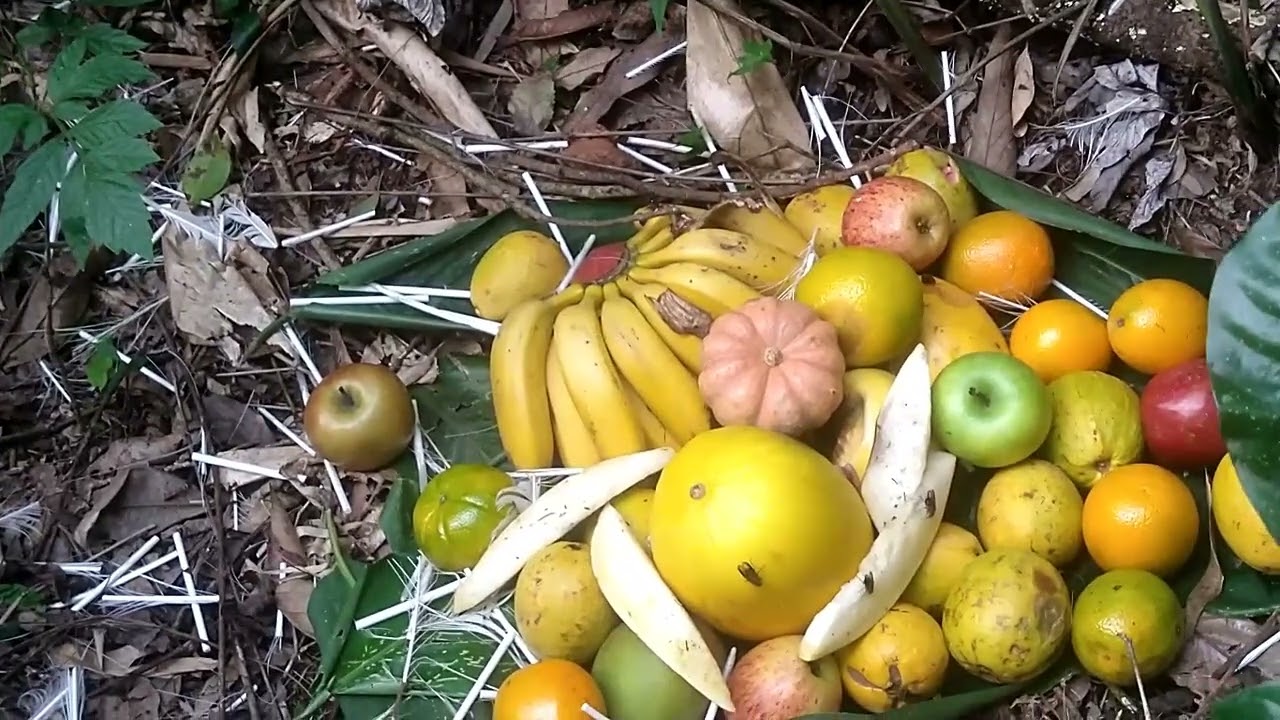 muitos trabalhos ritualístico neste lugar onde centenas de peçoas faz oferendas