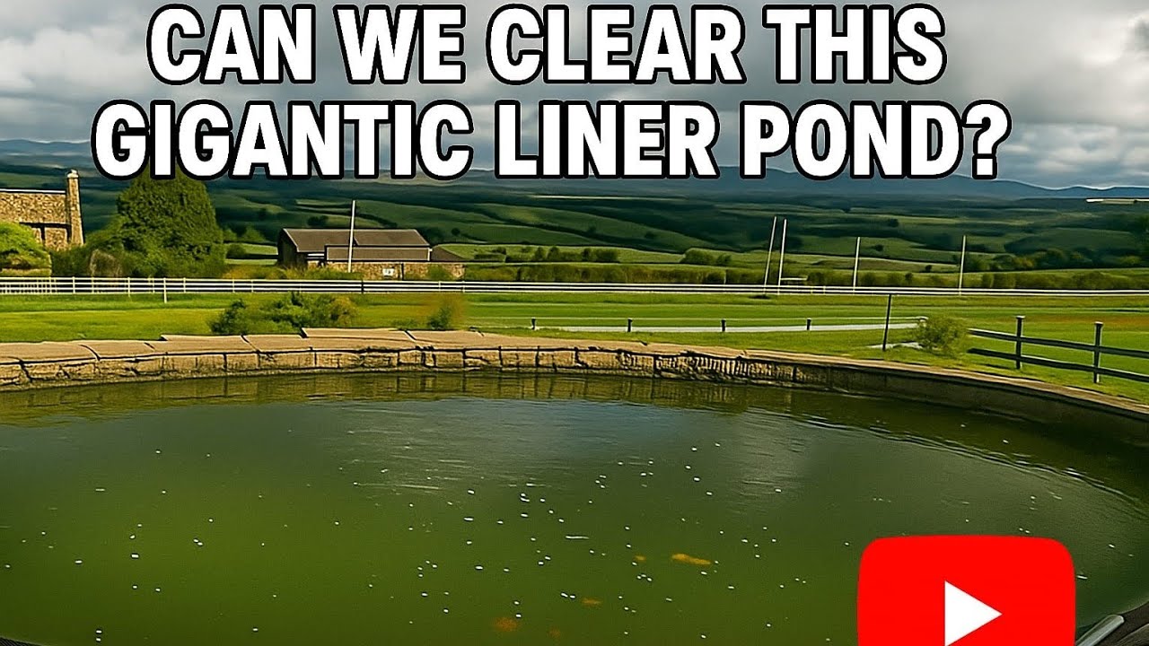 Can we clear this gigantic koi pond. Best koi pond filter system.