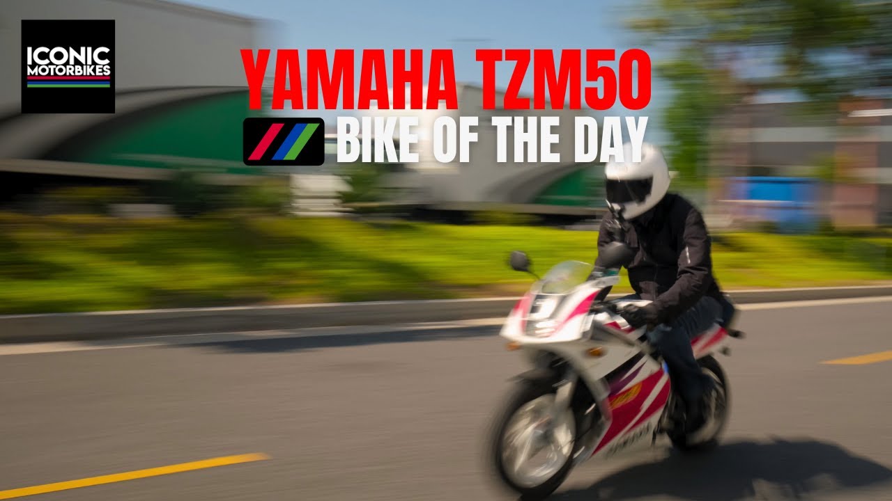 Yamaha TZM50R - A Little Bike with a Lot to Offer!