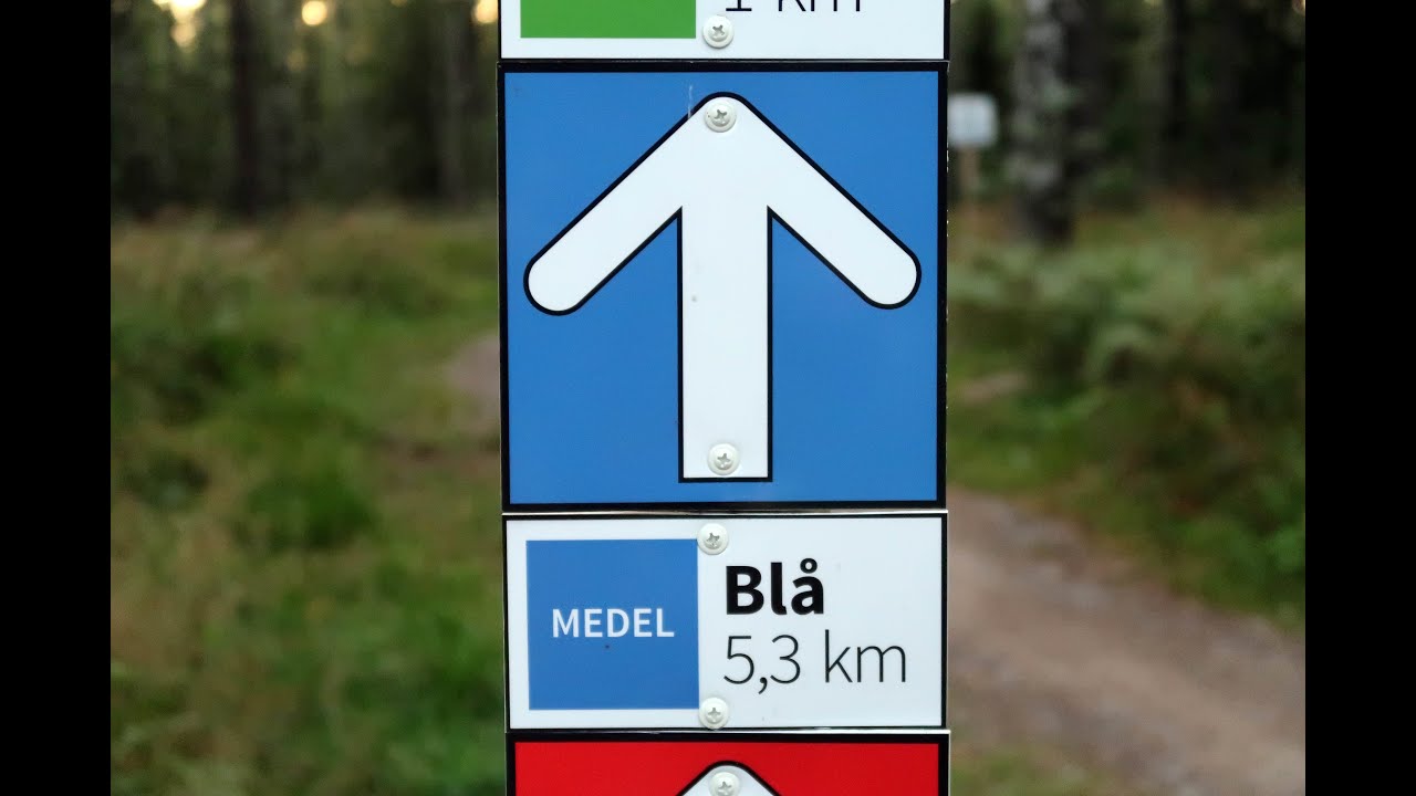 Blåa mtb spåret 5km Billingen
