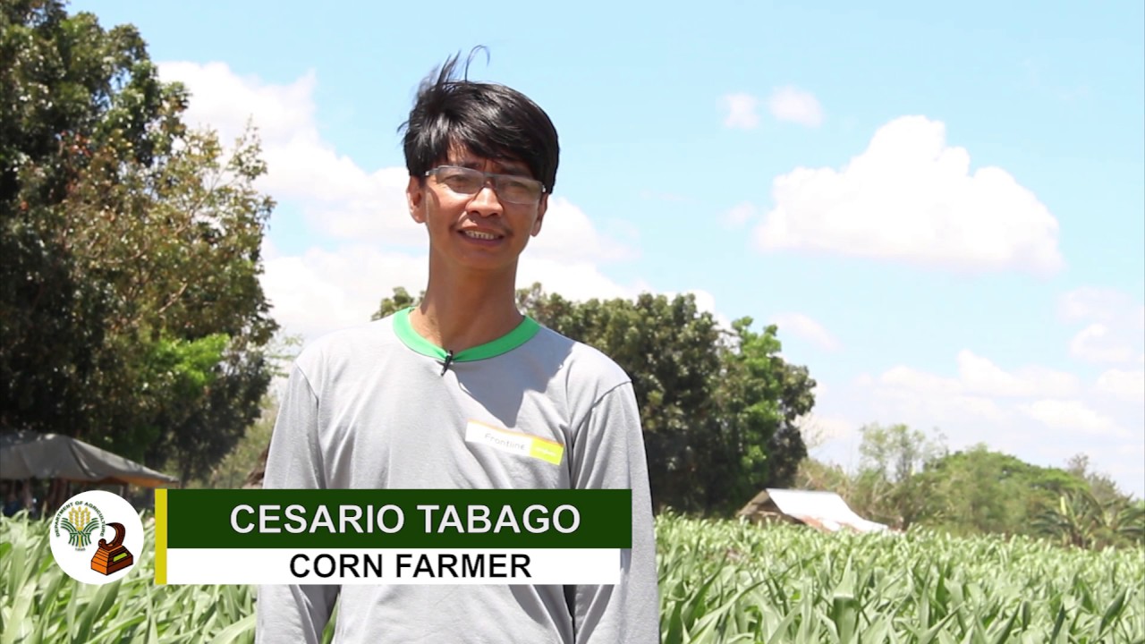 Gawad Saka 2017: Cesario Tabago Regional Outstanding Corn Farmer (Central Luzon)