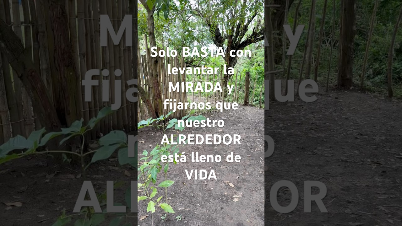 Para AGRADECER 