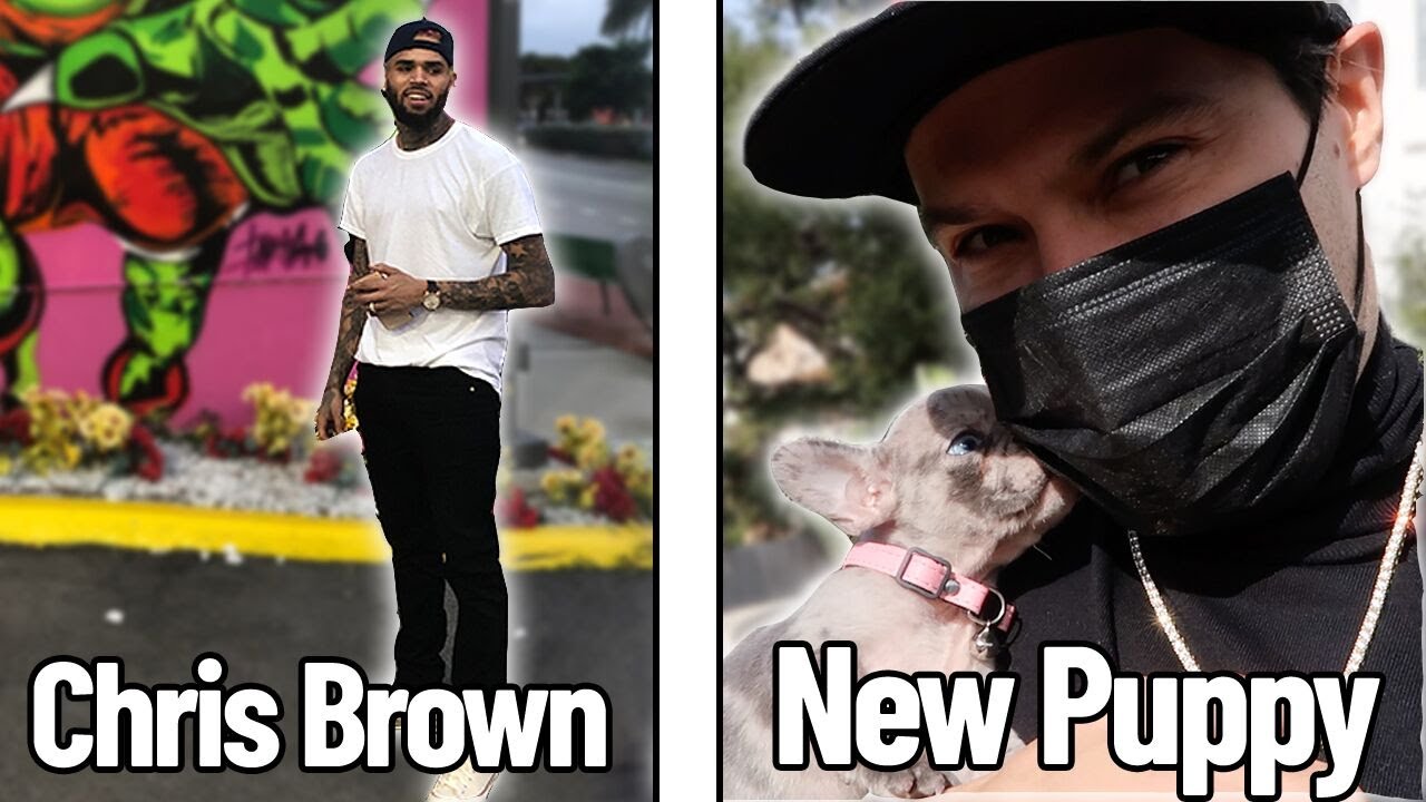 GRAFFITI WITH CHRIS BROWN & PUPPY COMES HOME