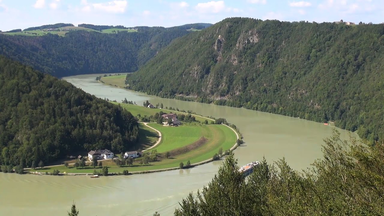 Donauschlinge 2019