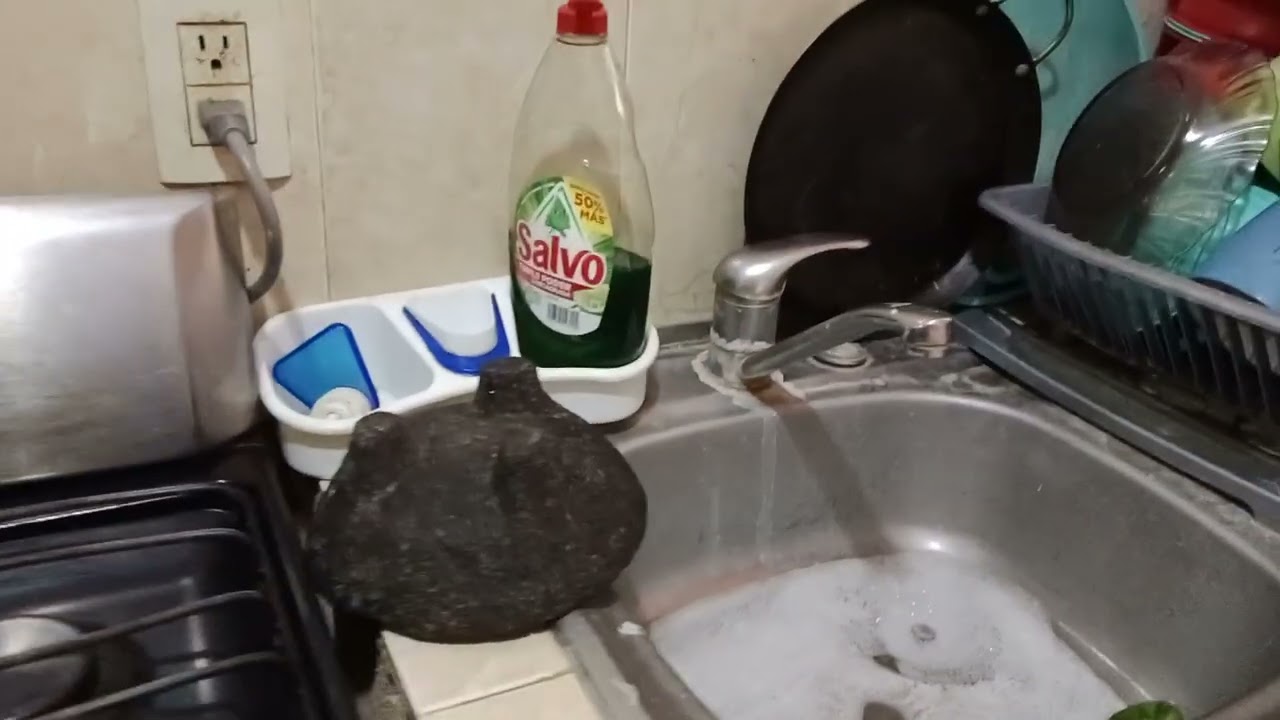 Finalmente Como Quedó 