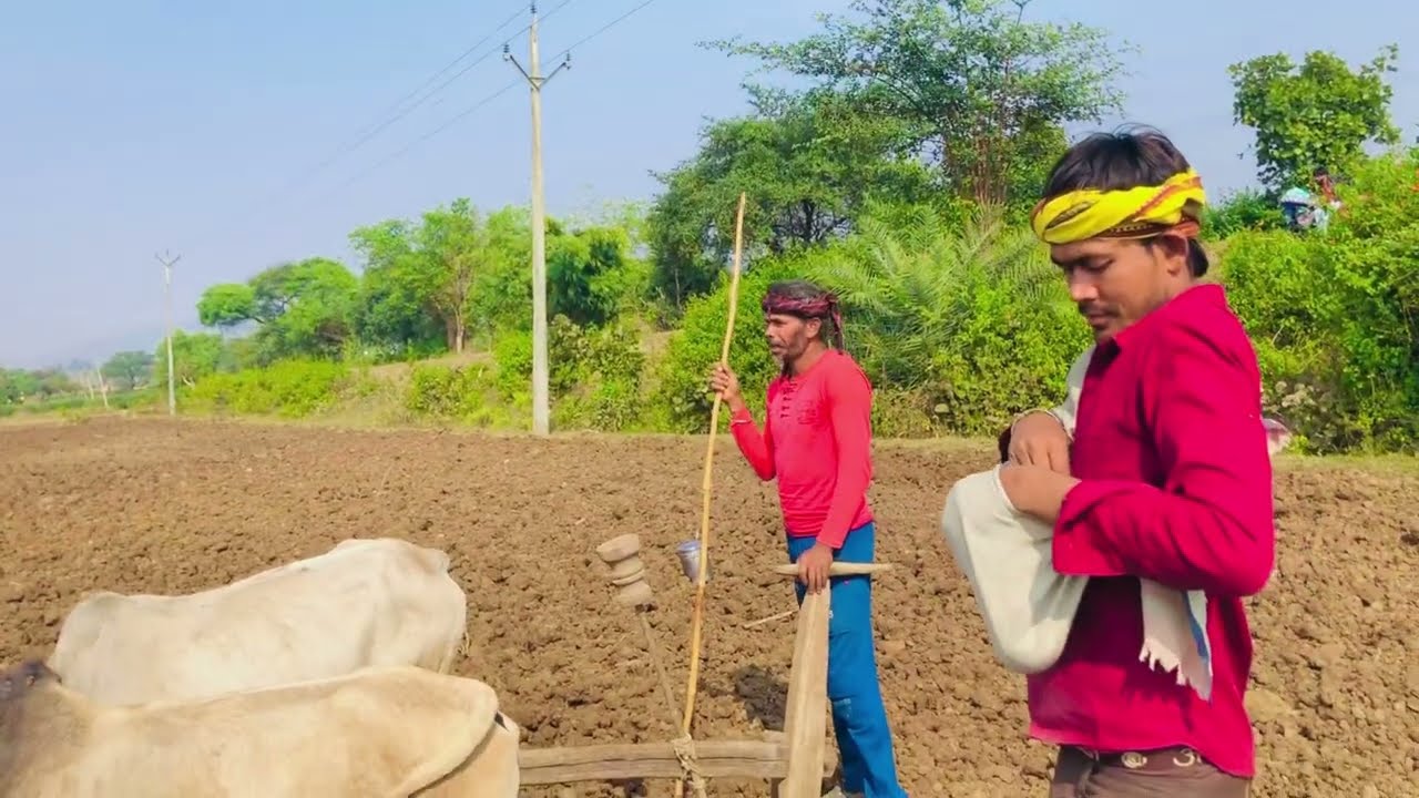 THE FARMER OF Chhattisgarh, aadivasi |Kisan