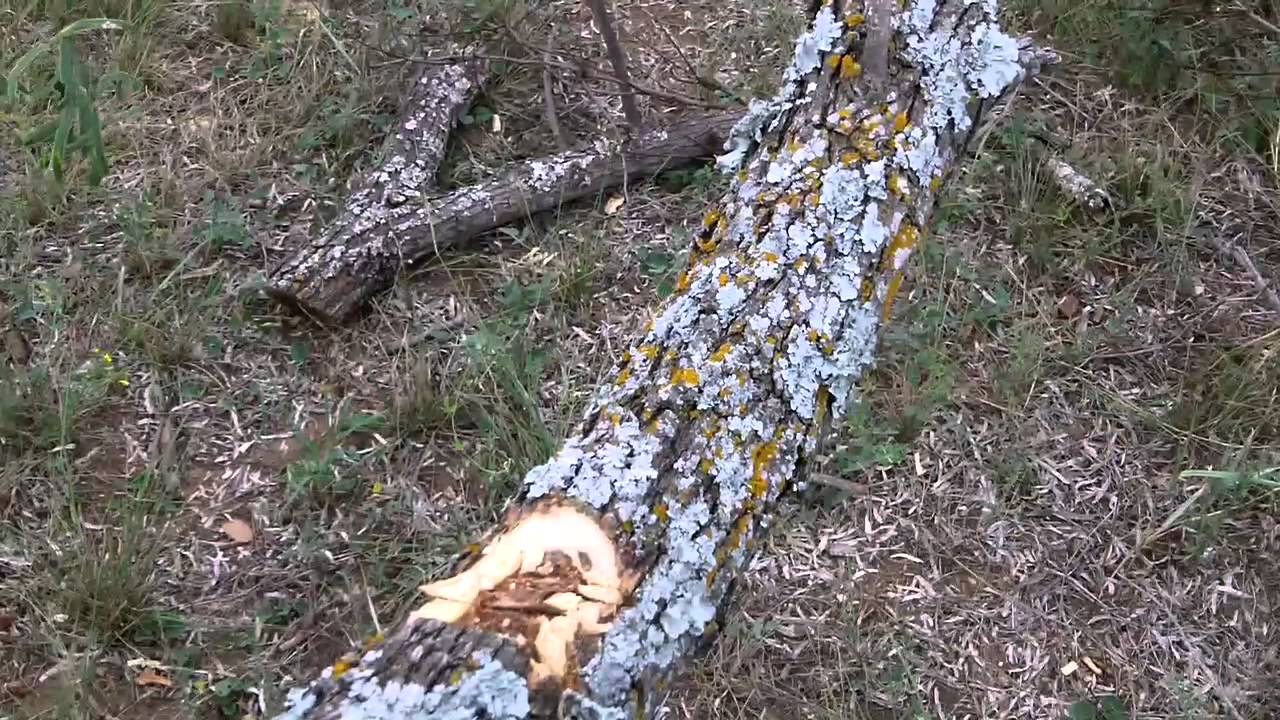Estwing Double Bit Axe [HD]