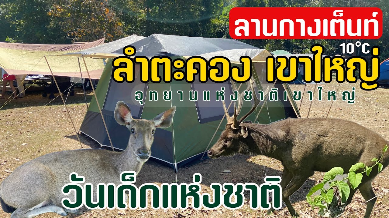 EP95 ลานกางเต็นท์ลำตะคอง | อช.เขาใหญ่ | วันเด็กแห่งชาติ2568 | กิน เที่ยว ไปกับเอ็ม