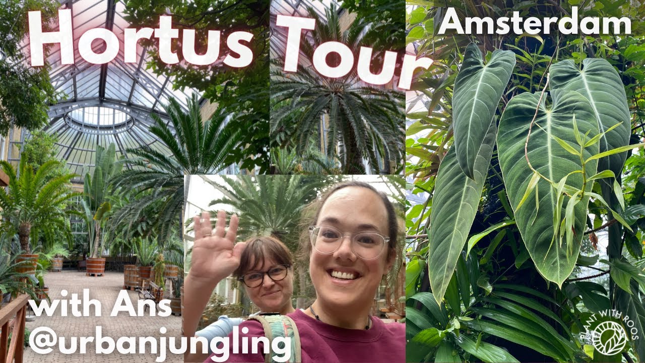 Tour of the Hortus Amsterdam - botanic garden up close with @urbanjungling | Plant with Roos