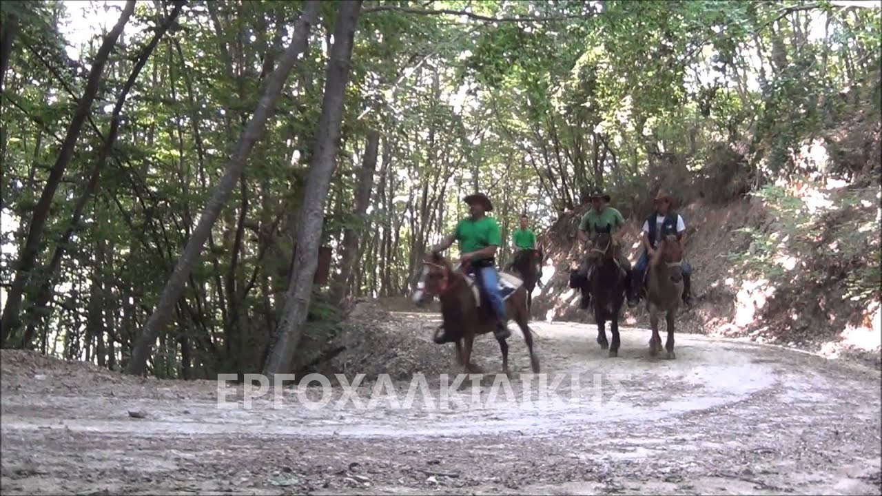 ergoliptesxalkidikis.blogspot.gr 2η Ιππική Συνάντηση στην Αρναία Χαλκιδικής