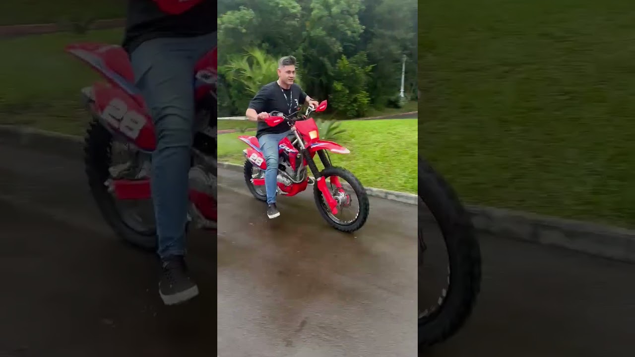crf 310