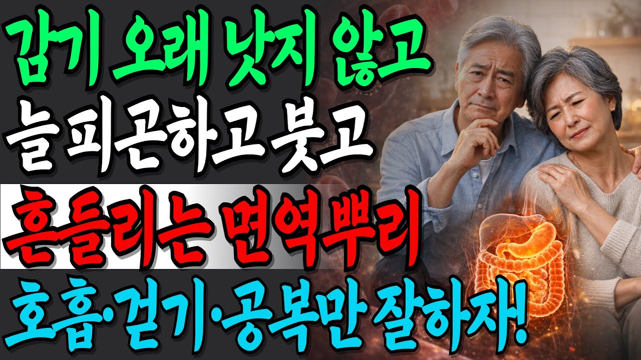 좋아하는 믹스커피 끊지마세요! 이렇게 바꾸면 면역에 덜 부담되니 건강하게 즐기세요 | 건강정보 | 오디오북 | 시니어건강