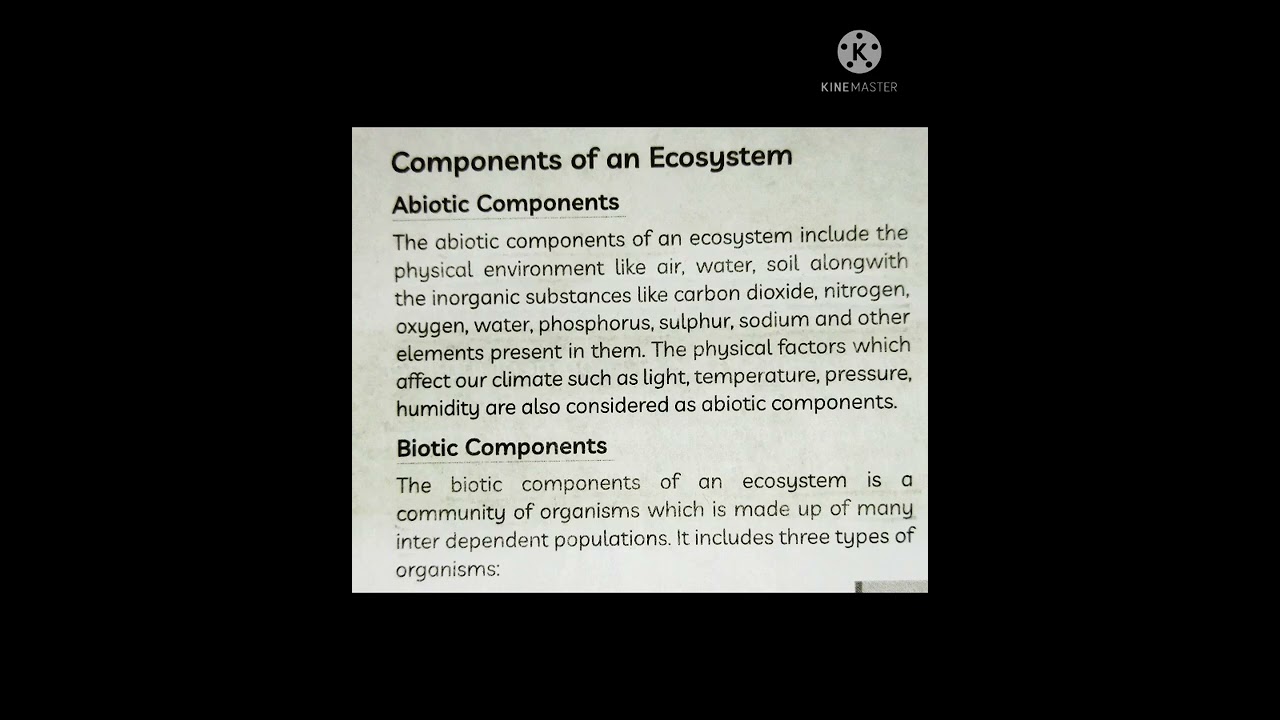 Components of an Ecosystem (Our Environment) (Science) Class 10