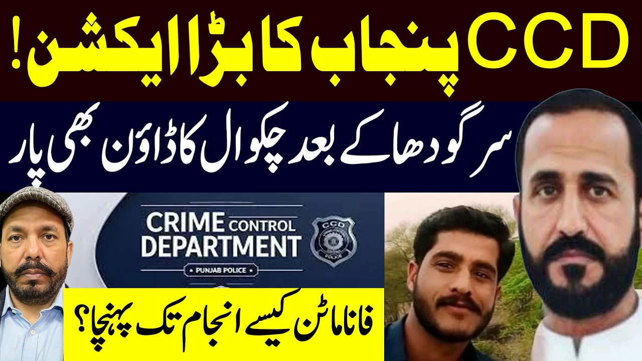CCD || Ali Raza Shirazi || ARS Pakistan