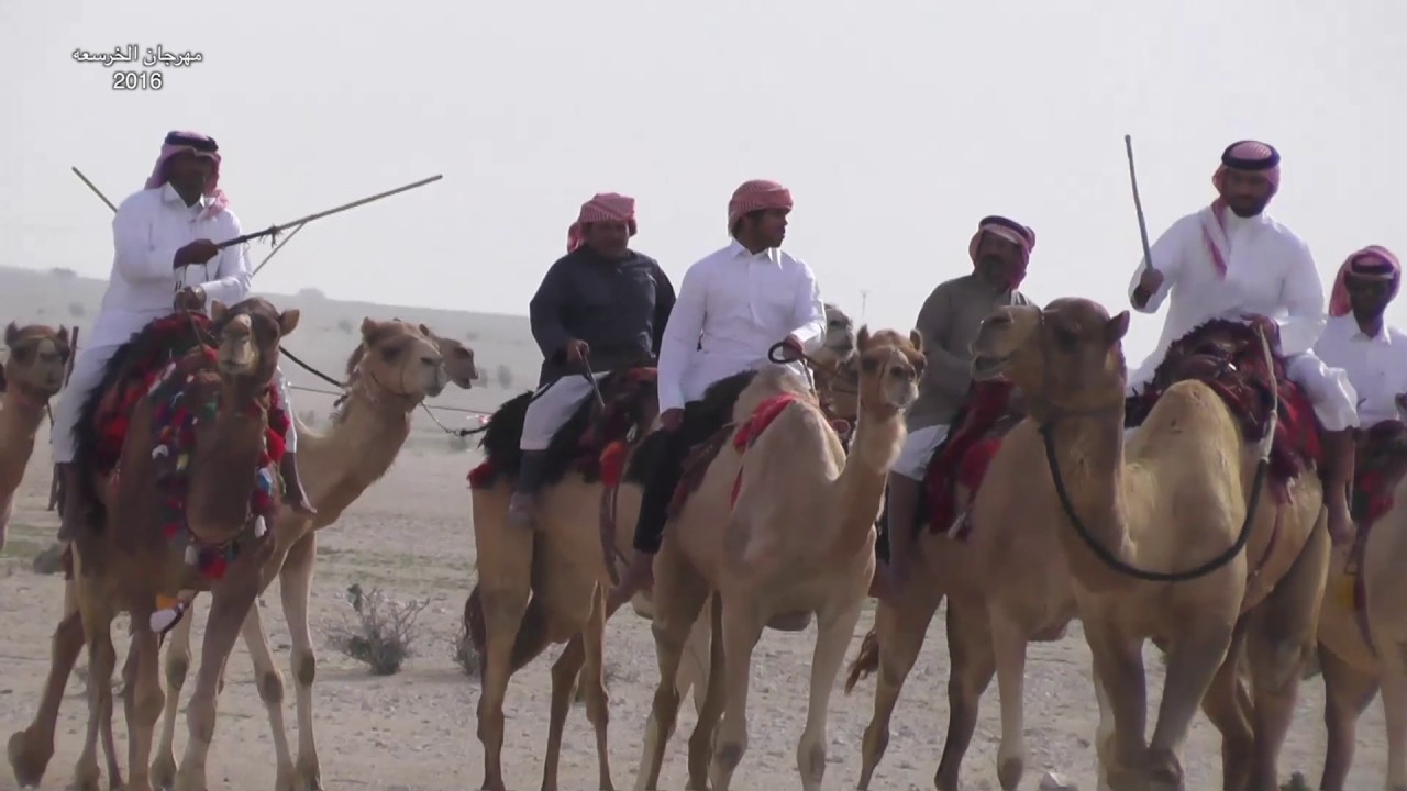قناة الواحة تقدم مهرجان الخرسعة 2016