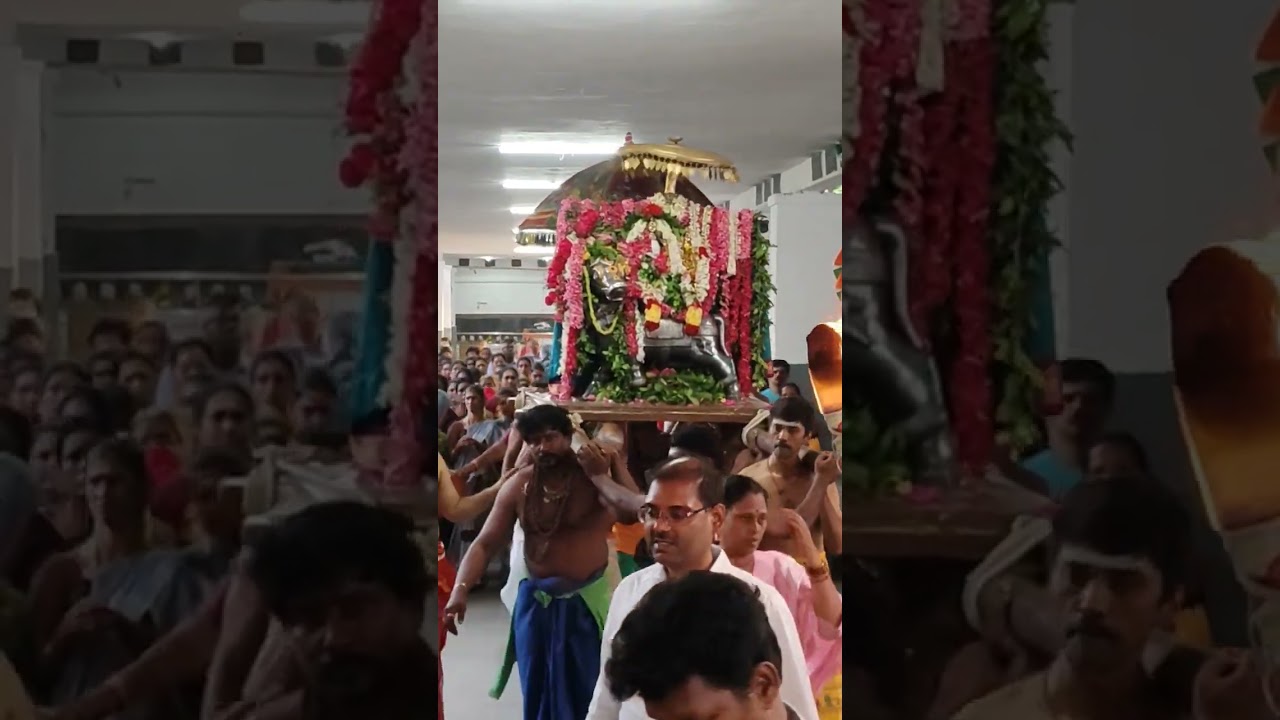 Om Namasivaya Shivsn Arul Vaku#devositional