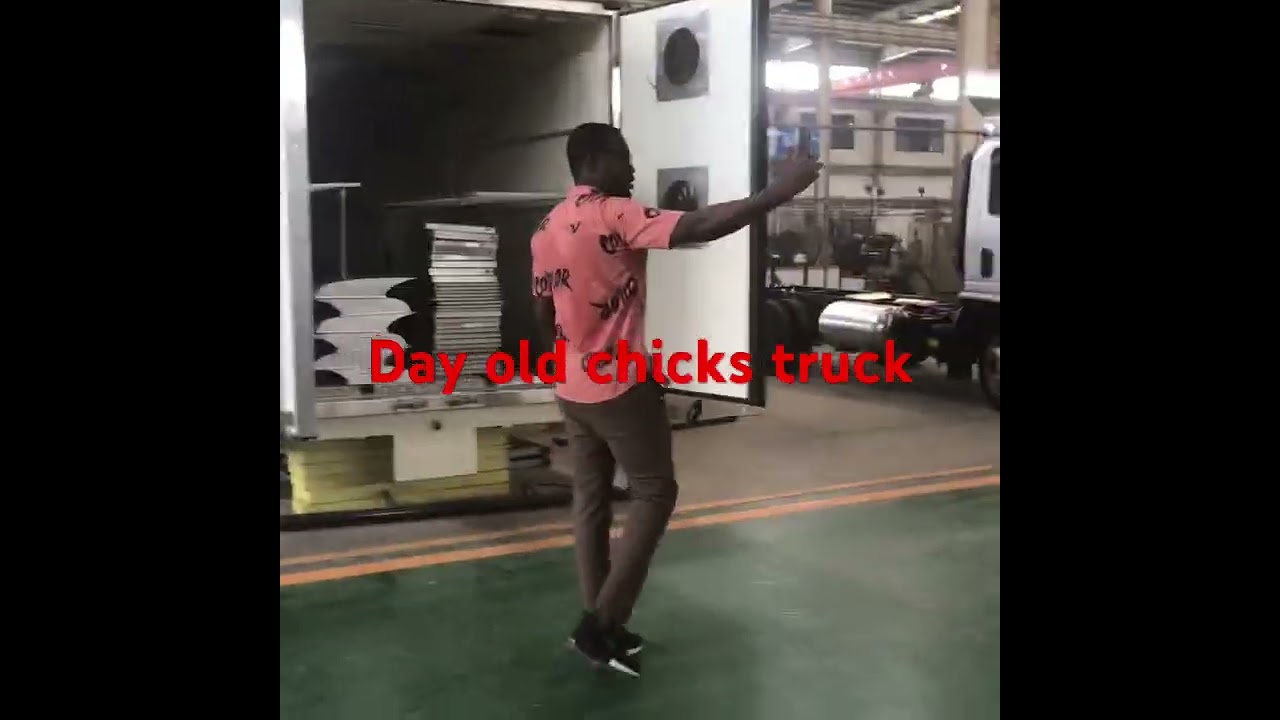 Hot sale! Day old chicks van vehicle, Whatsapp: 0086 13329899995