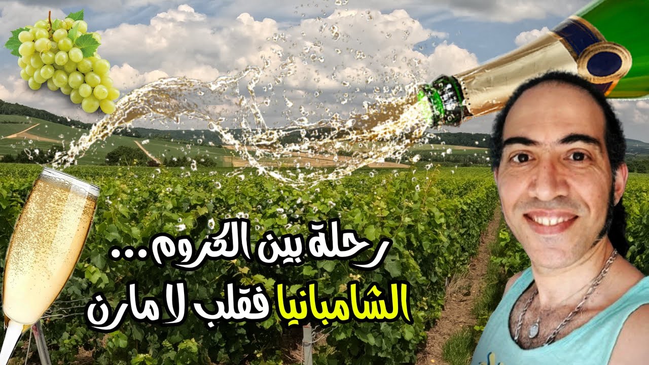 رحلة بين الكروم... الشامبانيا فقلب لا مارن