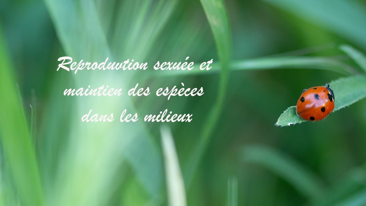 Reproduction sexuée et maintiens des espèces.