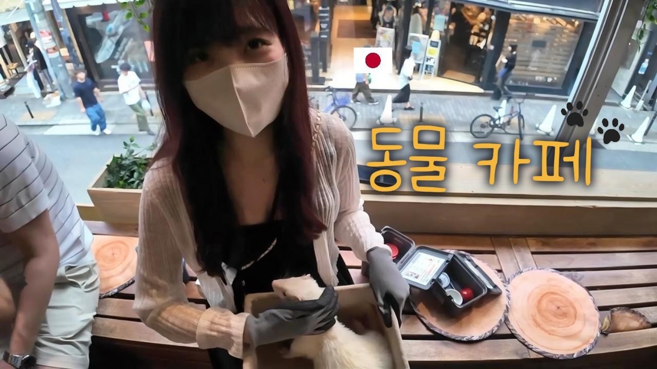 일본인 여자친구랑 일본 동물카페 가 보았다.
