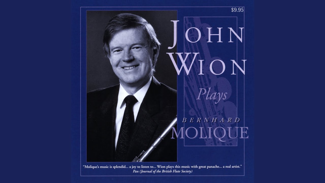 Concerto for Flute and Orchestra in D Minor, Op. 69: I. Allegro
