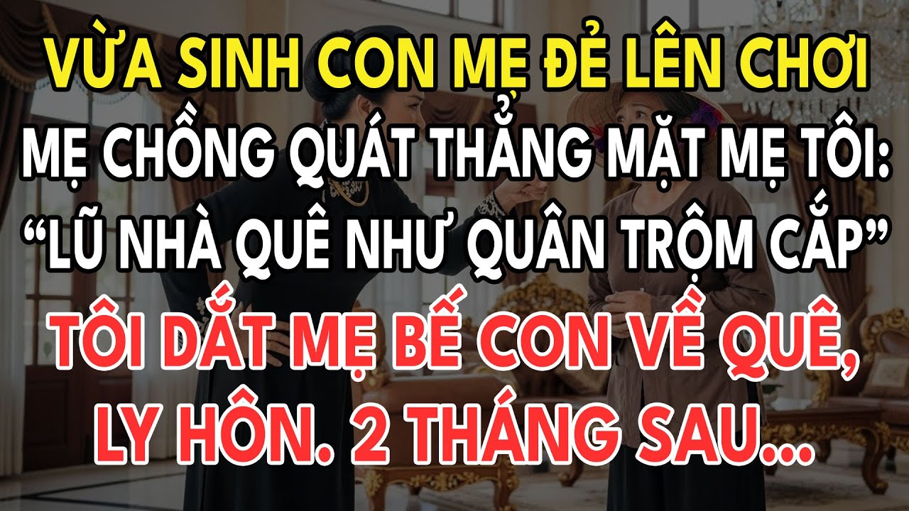 Vừa Sinh Con Mẹ Đẻ Lên Chơi. Mẹ Chồng Quát: “Lũ Nhà Quê Quân Trộm Cắp”. Tôi Dắt Mẹ Bế Con Rồi Ly Hôn