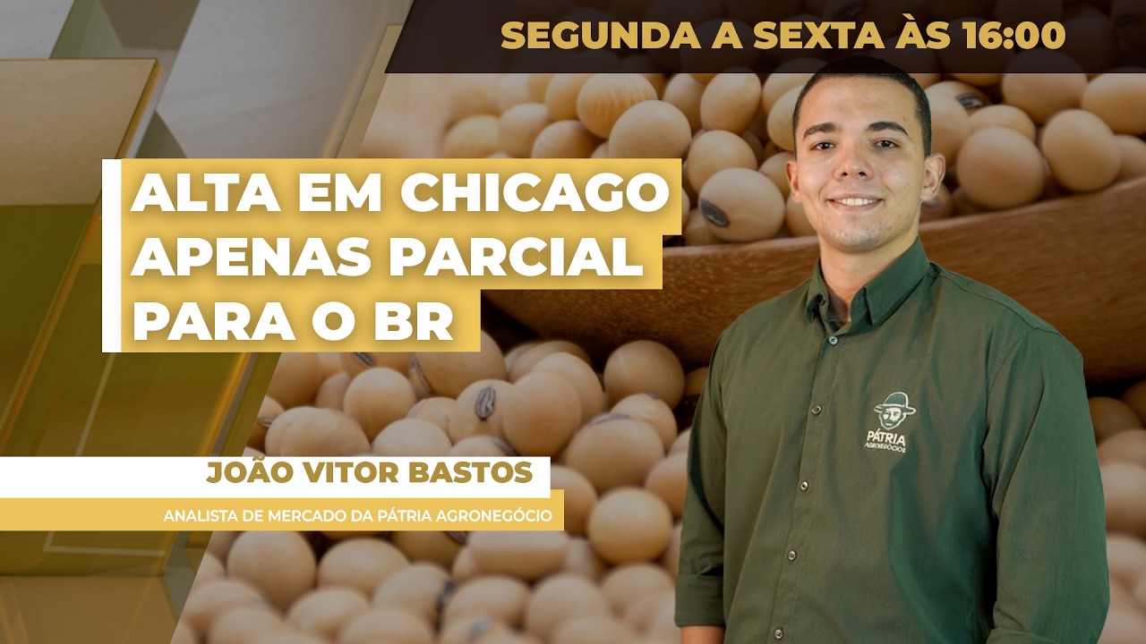 Soja fecha em alta na Bolsa de Chicago e preços no BR permanecem estáveis nesta 5ª feira