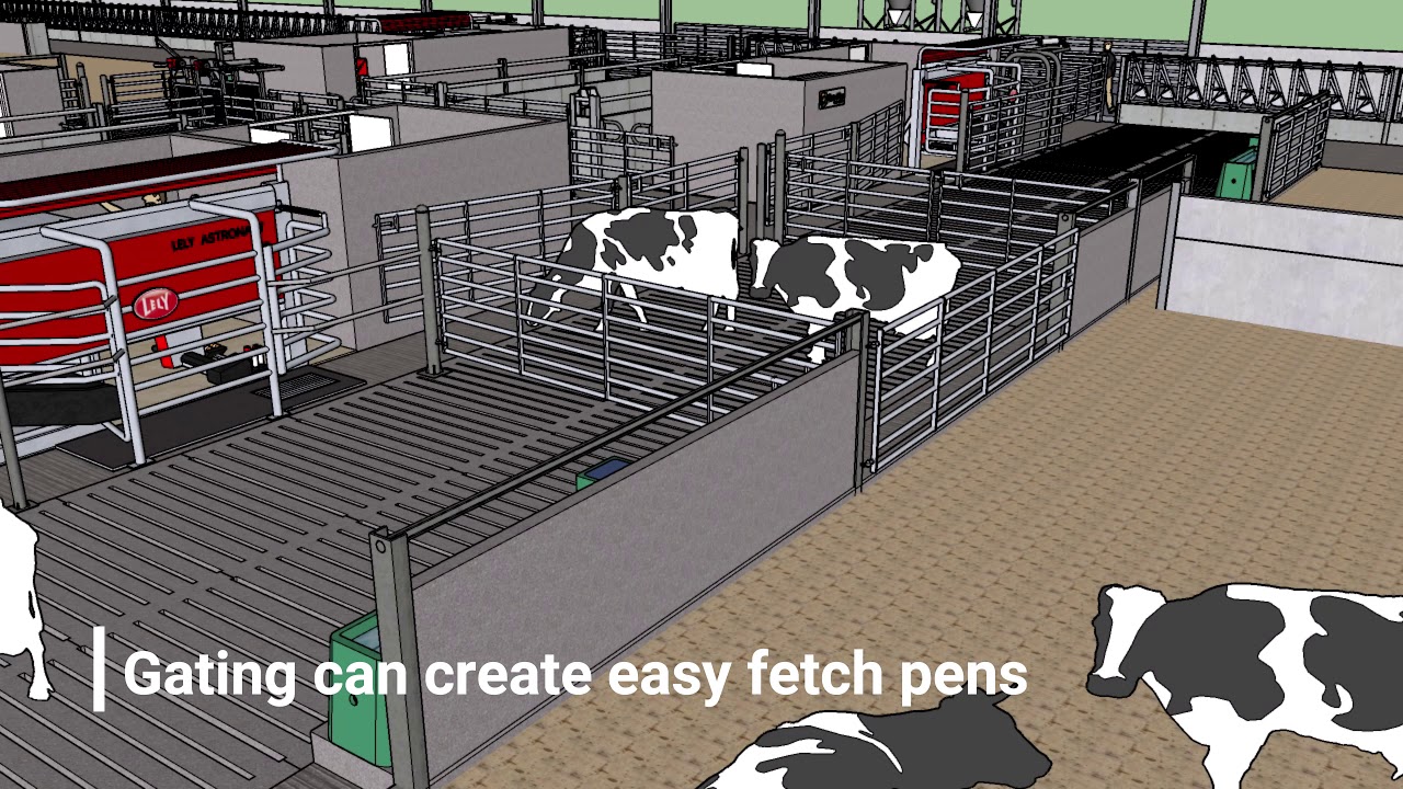 CowPlan Robot barn - 3D concept video on straw yards