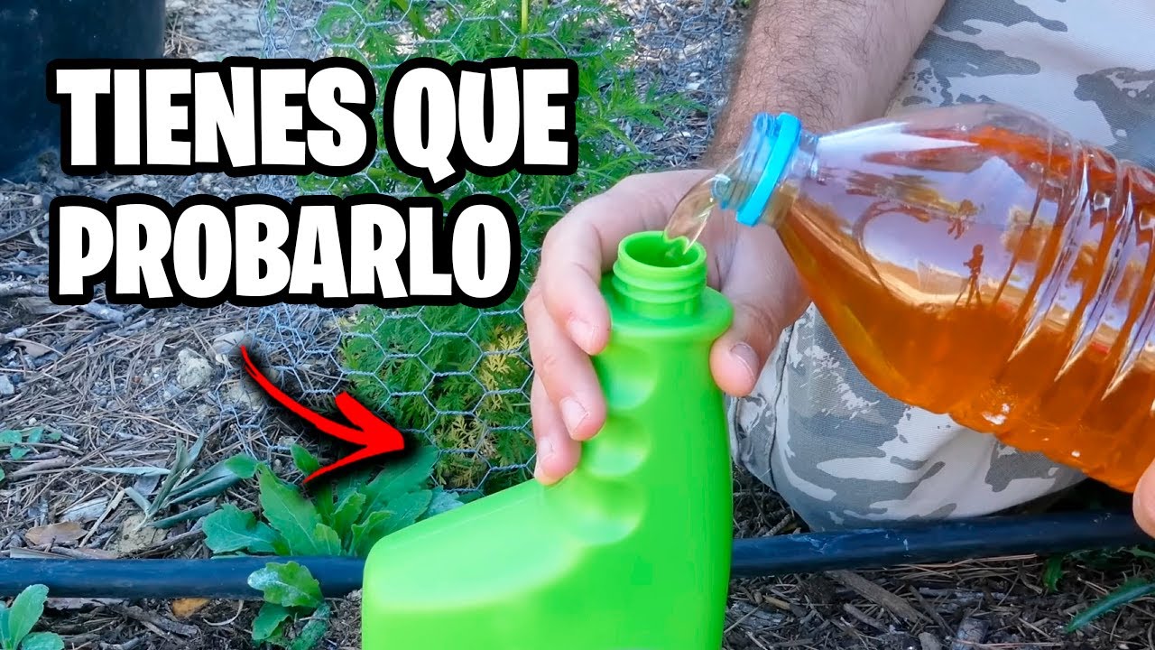 Insecticidas 100 veces + POTENTES que Otros!! Elimina Plagas de Tus Plantas | La Huerta de Ivan