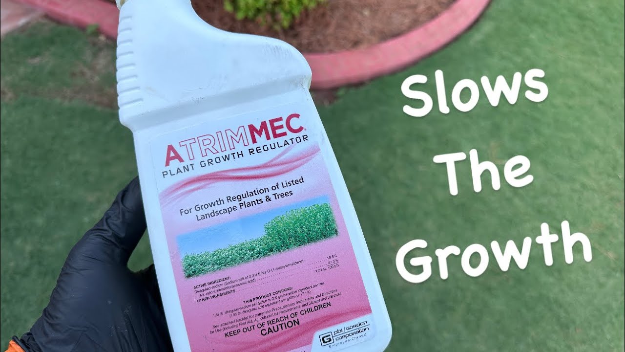 &ldquo;Slow Down Bush Growth with Atrimmec &ndash; Step-by-Step Tutorial&rdquo;