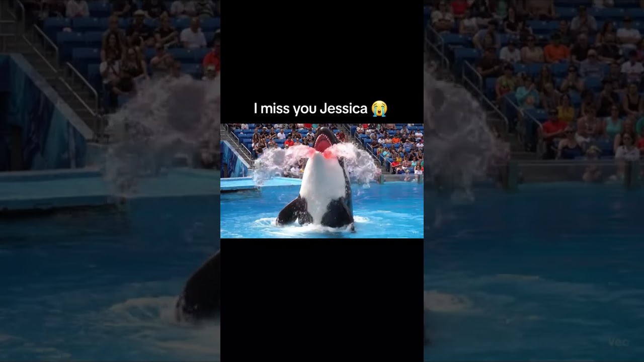 jessica #dolfin #viralvideo