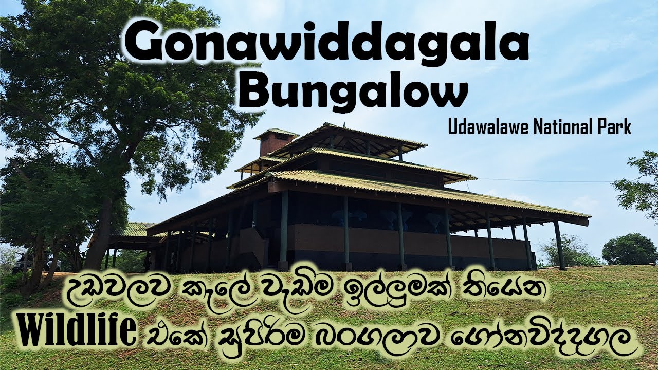 ගෝනවිද්දගල බංගලාව | Gonawiddagala Wildlife Bungalow | Review | Udawalawe National Park  | Sri Lanka