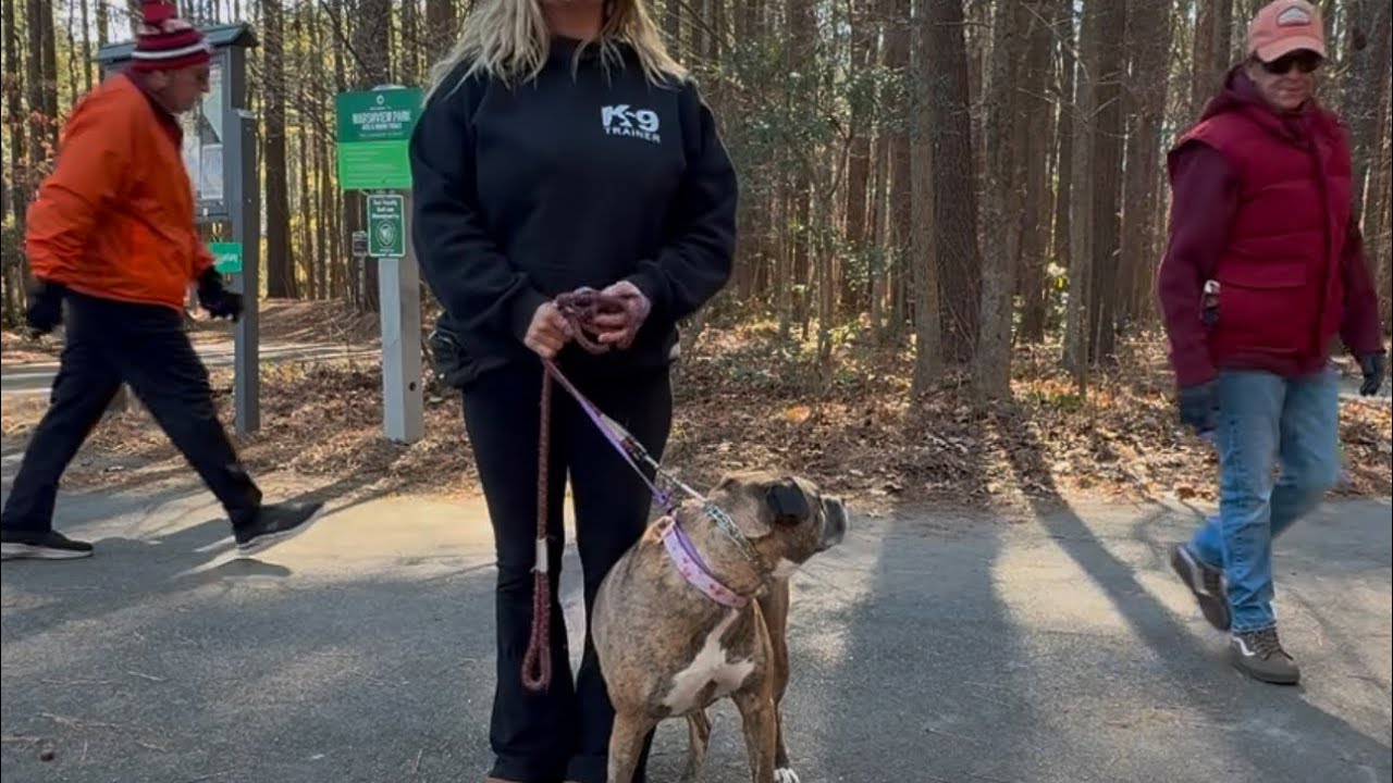 Luda and Koba (reactivity training) day one. Oceanfront dog training is our partner with this. #dogs