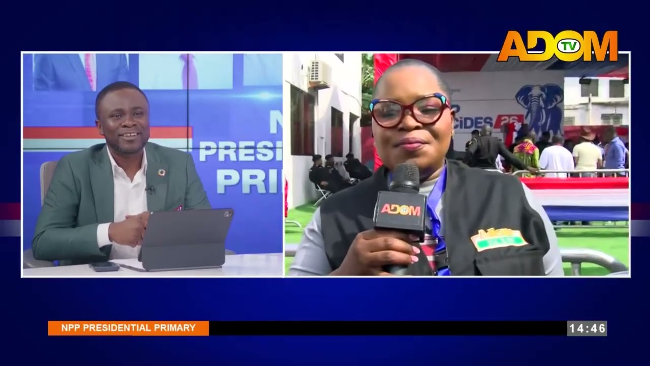 Results trickle in from various centres - NPP Presidential Primary Elections - Adom TV (31-01-26)