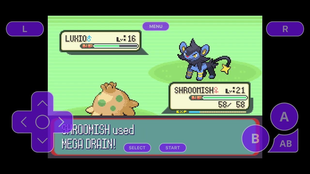 Pokemon Snakewood: This gym was annoying 