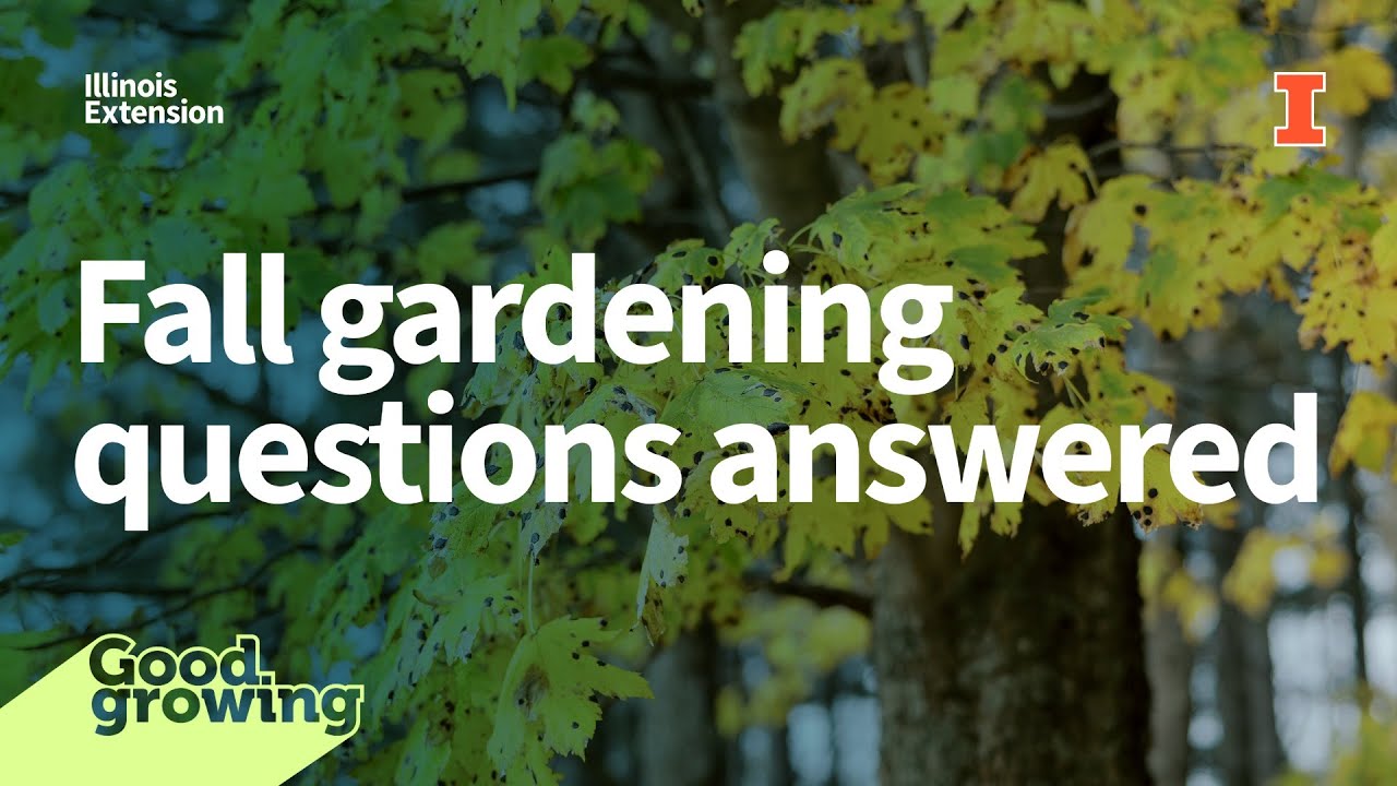 Fall gardening questions answered | #GoodGrowing