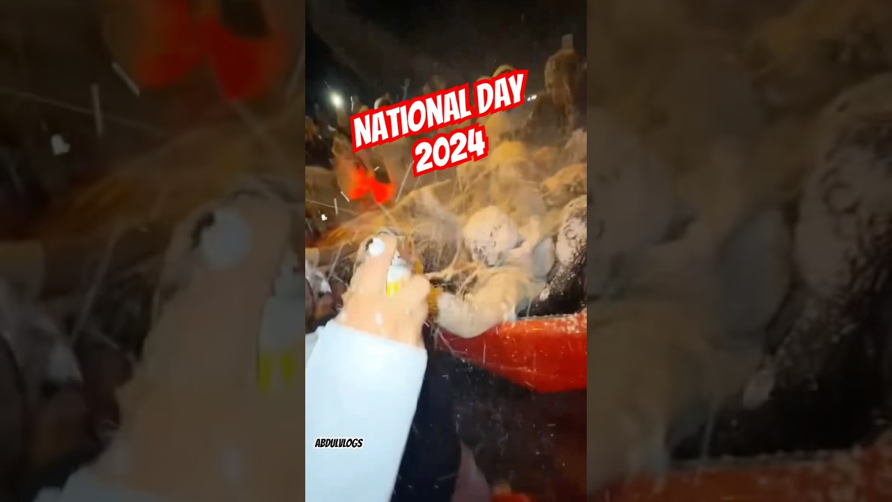 Dubai national day celebration 2024 #dubai #uae #uaedubai #nationalday #celebration #abdulvlogs
