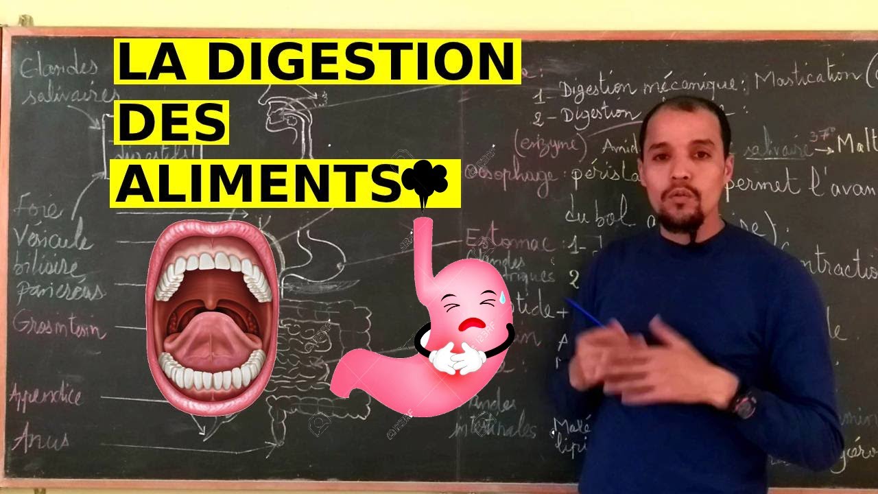 3AC biof  La digestion des aliments  الهضم