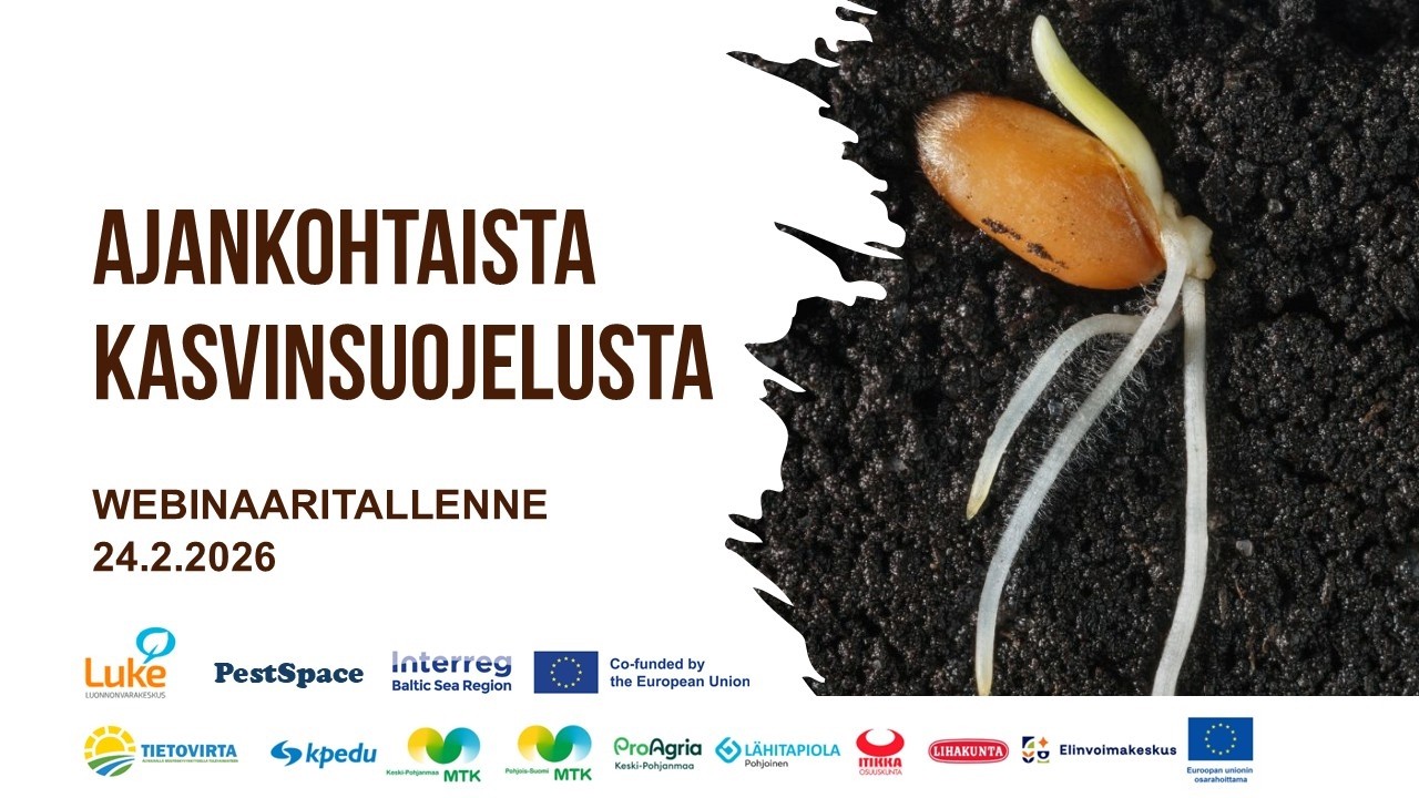 Ajankohtaista kasvinsuojelusta 24.2.2026