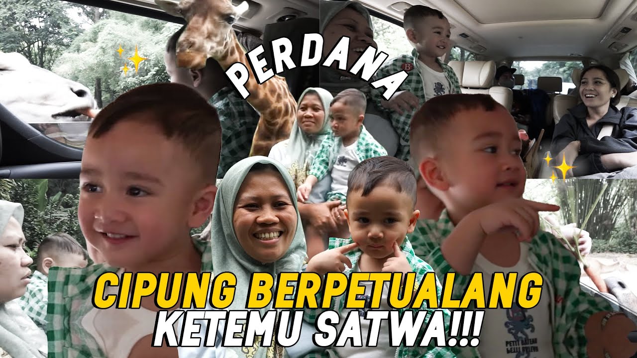 NAGITA KAWAL CIPUNG JADI PAWANG JERAPAH!! SEMUA SATWA NURUT, NCUS RINI YANG PANIK