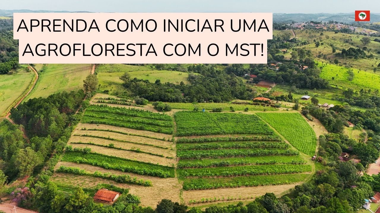 COMO INICIAR UMA AGROFLORESTA COM O MST?