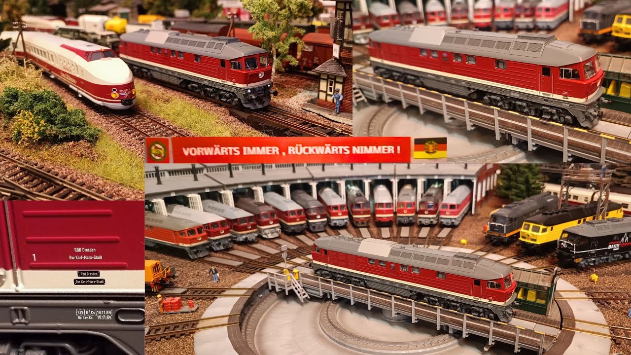 😎Neu Piko/Elriwa BR 132 Exclusiv 71335🚂 limitiert 👍+Neue V 60🚂NVA Bau Update ☢️ DDR Modelleisenbahn