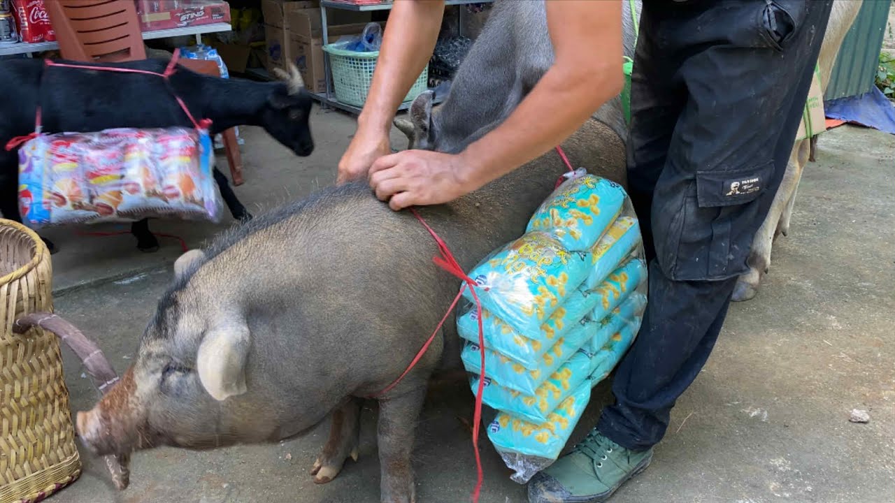 Вьетнамец и его питомец идут в продуктовый магазин, чтобы купить много еды.