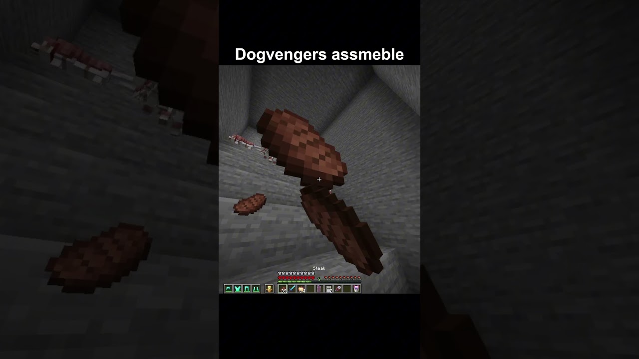 Сбор Dogvengers #usa