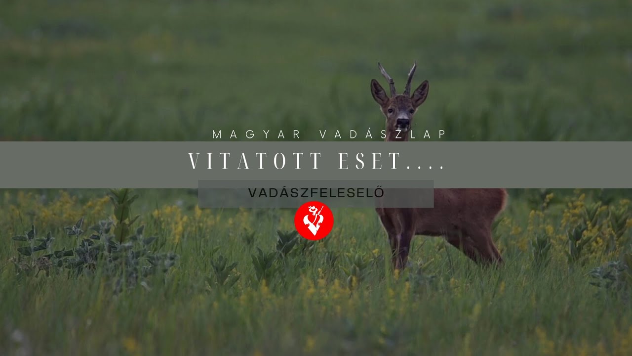 Vadászfeleselő 3/3. - Vitatott eset…