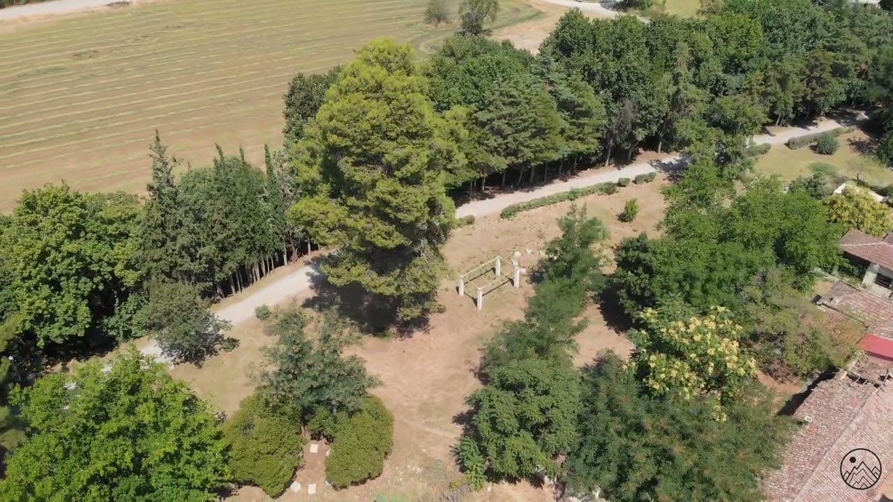 #aliartos garden #djimavicair july 2022