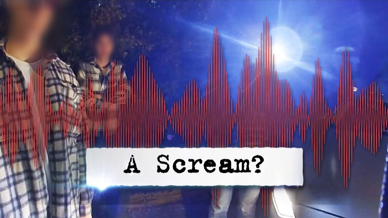 Did Bodycam Catch Scream on Night Idaho Students Were Slain?
