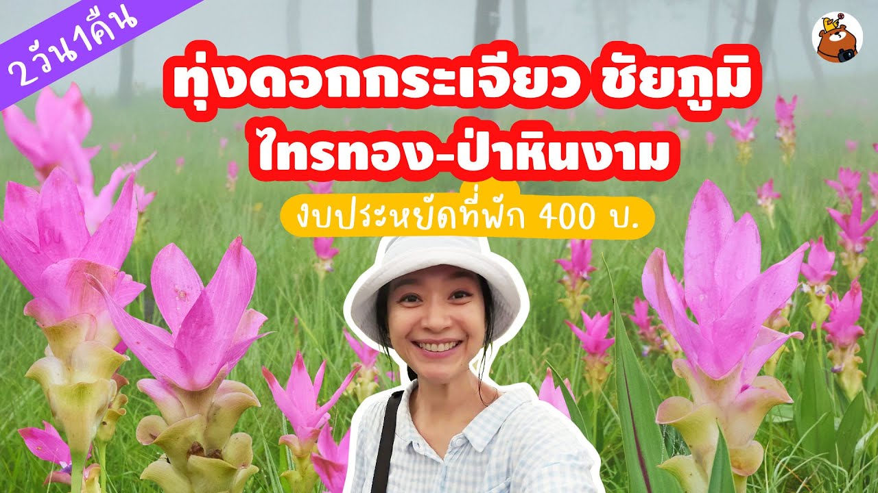 เที่ยวทุ่งดอกกระเจียว 2วัน 1 คืน ที่พัก 400 ชัยภูมิ